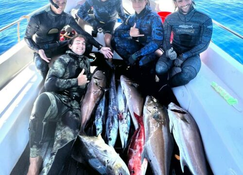 Epic Boat Spear Fishing Expedition